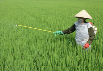 Vĩnh Phúc Tích cực phòng trừ sâu bệnh trên lúa và hoa màu